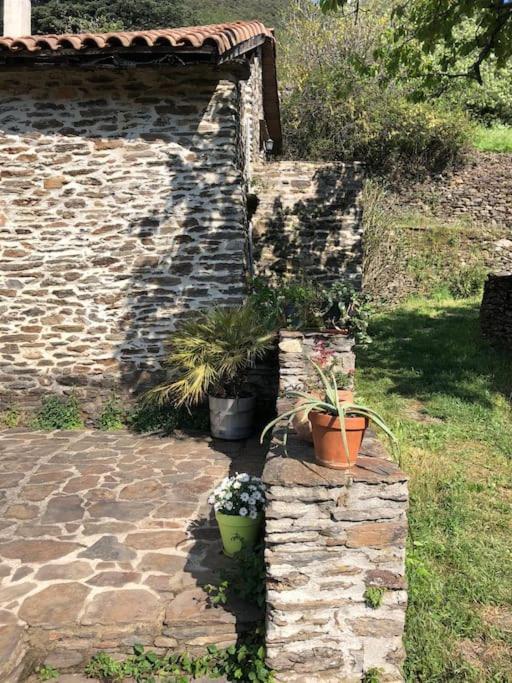 Maison Rurale Au Coeur Des Cevennes Ardechoises Dompnac 외부 사진