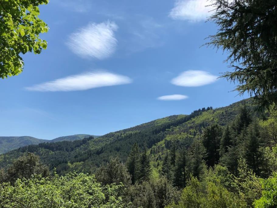 Maison Rurale Au Coeur Des Cevennes Ardechoises Dompnac 외부 사진