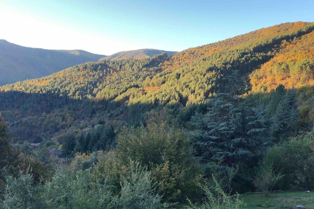 Maison Rurale Au Coeur Des Cevennes Ardechoises Dompnac 외부 사진